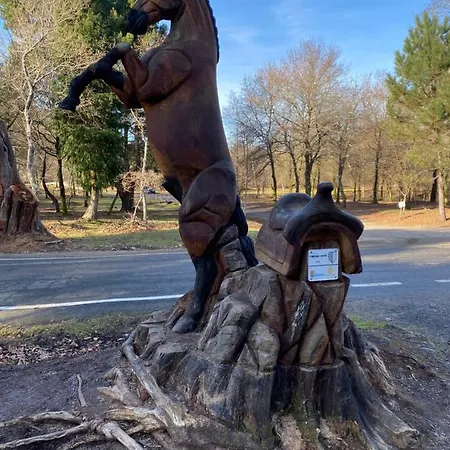 Apartmán Atico Playa A Xunqueira - Moana, A 15 Min De Vigo Moaña